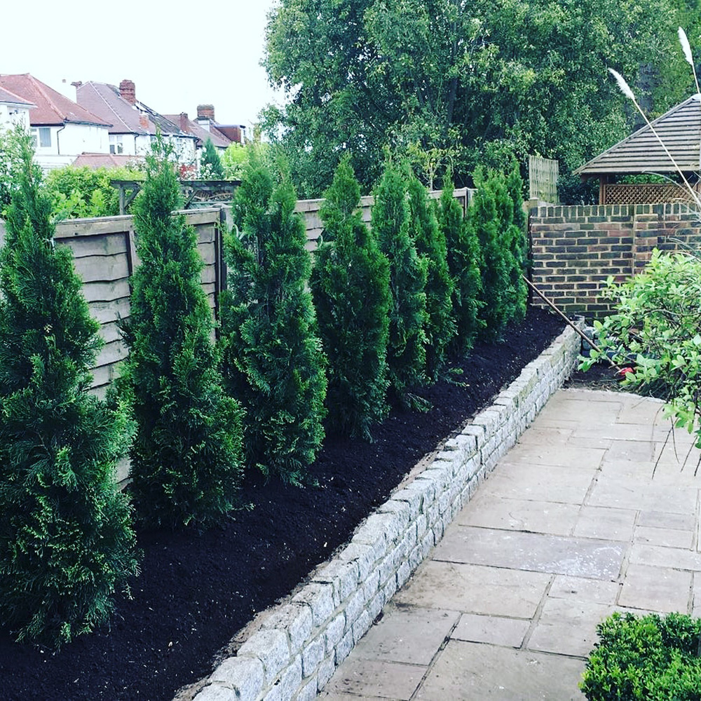 Landscaping project 3 in South London
